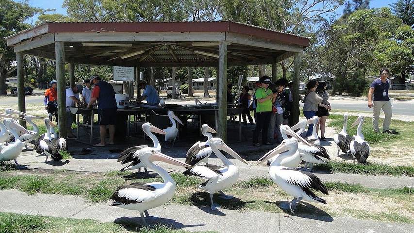 Holiday apartment for 7 people, with balcony and garden as well as pool in Nelson Bay