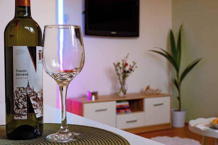 Vacation rental for 3 people in Slovakia