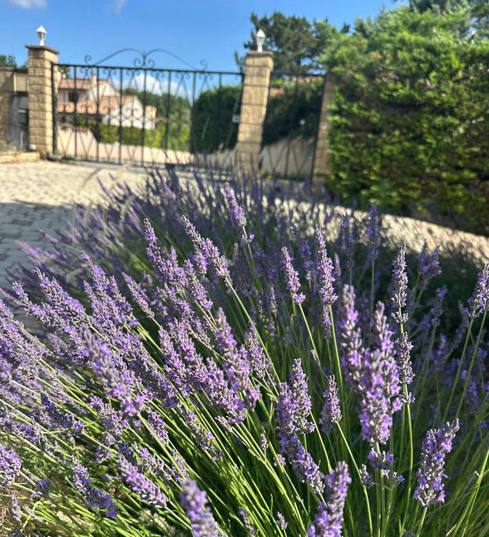 Gîte pour 4 personnes, avec vue ainsi que jardin et piscine à Donzère - 3