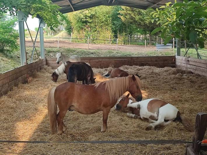 Gîte pour 2 personnes, avec vue, animaux acceptés à Vic-le-Comte - 3