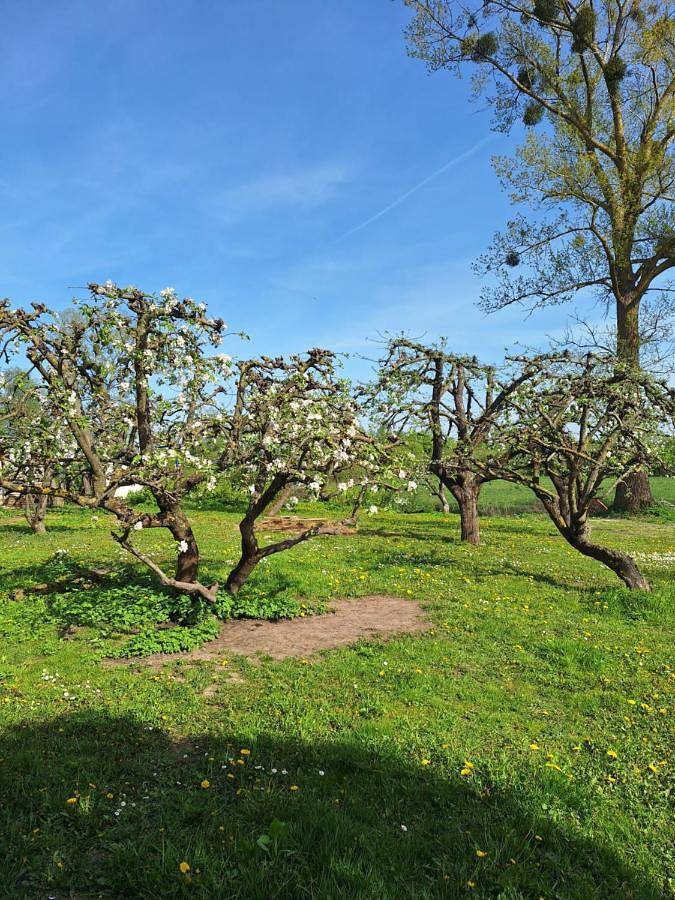 Węgorzewo- Dom nad stawem in Węgorzewo, Mamry