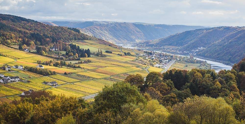 Ganze Ferienwohnung, "Heißer Stein" in Reil, Bernkastel-Kues & Umgebung