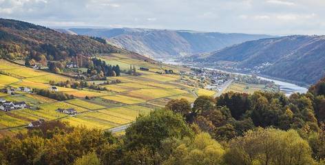 Ferienwohnung für 4 Personen in Reil, Moseleifel, Bild 1