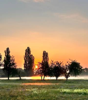 Ferienwohnung für 2 Personen, mit Terrasse in Lübbenau
