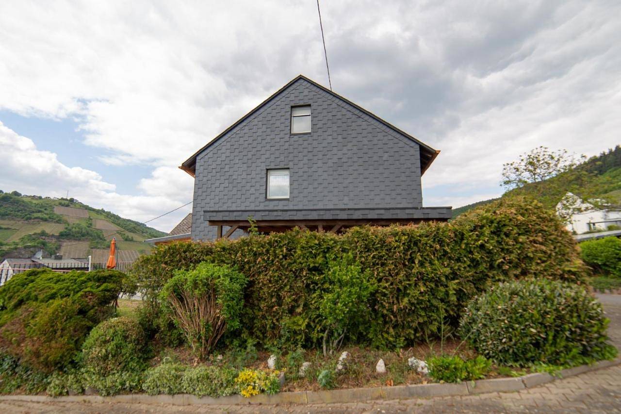 Ganze Wohnung, Apartment - Ground Floor in Burg (Mosel), Bernkastel-Kues & Umgebung