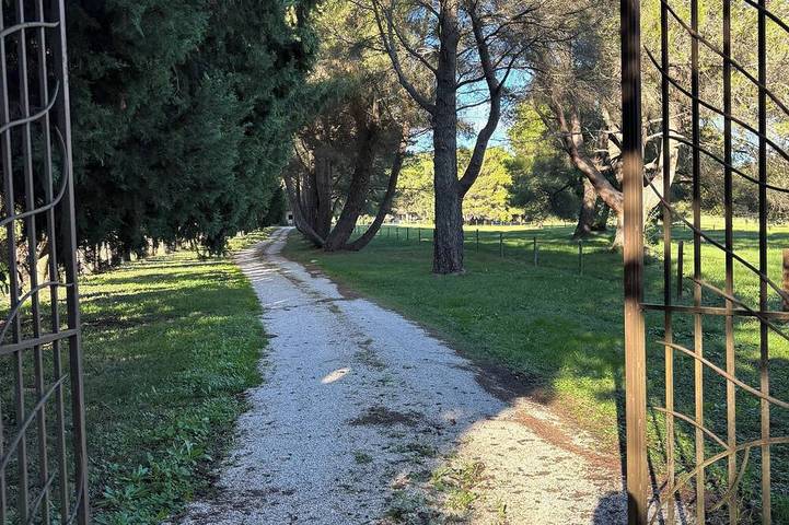 Holiday home for 4 people, with garden - 1