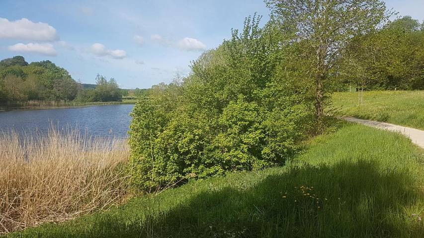 Ferienwohnung für 4 Personen, mit Ausblick und Garten, mit Haustier in Hillesheim - 4