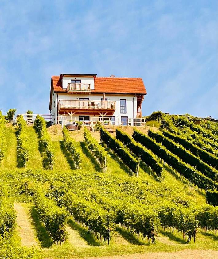Ferienhaus für 9 Personen, mit Garten und Pool sowie Whirlpool