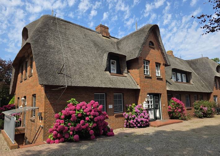Ganze Ferienwohnung, Lüttje Koog Whg.8 in Wyk auf Föhr (Stadt), Wyk auf Föhr