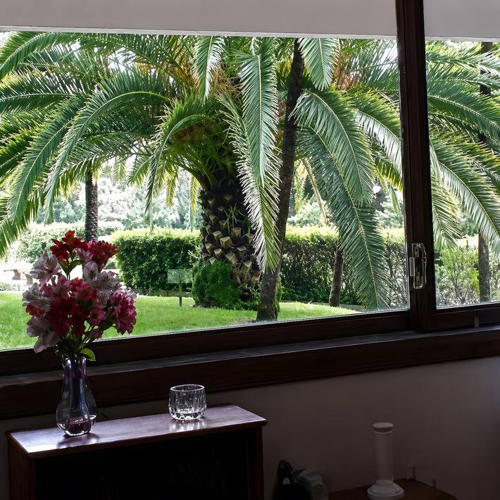 Appartamento intero, Appartamento 'Studio Cannes Gallia' con giardino e vista verde in Cannes, Costa mediterranea (Francia)