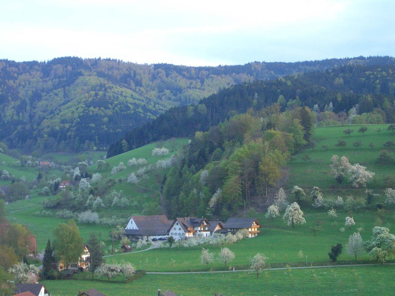 Bauernhof für 3 Personen in Glottertal, Hochschwarzwald