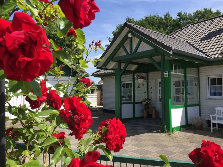 Ferienwohnung für 4 Personen, mit Garten und Sauna in Lütow