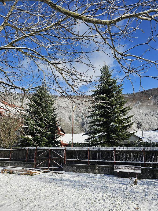 Gîte pour 4 personnes, avec jardin et terrasse à Sinaia - 4