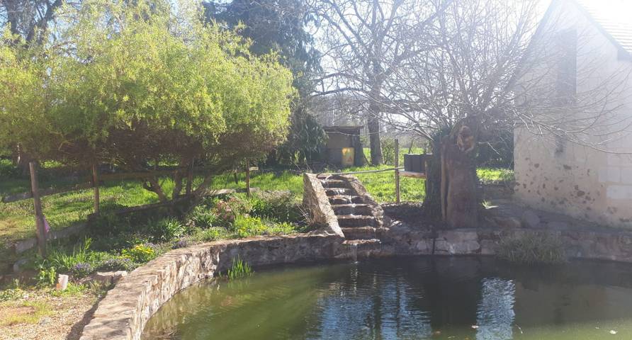 Chambre d’hôte pour 6 personnes, avec jardin dans les Pays de la Loire - 2