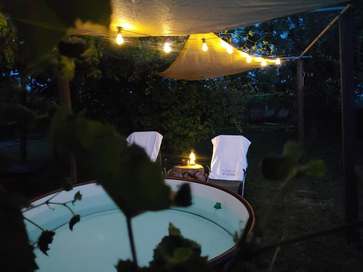 Location de vacances pour 6 personnes, avec jacuzzi ainsi que jardin et piscine dans Ormož - 3