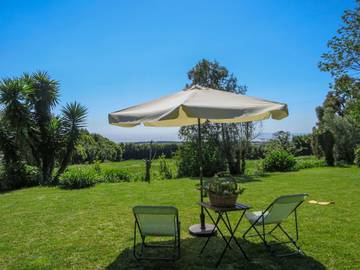 Agriturismo voor 6 Personen in Castelo do Neiva, Minho (provincie), Afbeelding 4