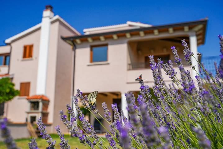 Apartamento entero, Apartamento de vacaciones para 4 personas con terraza in Labin, Costa Este de Istria