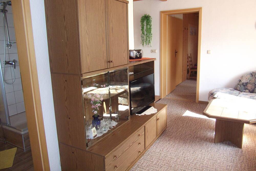 Geheel appartement, Uitnodigend, rustig appartement in het midden Erzgebirge m. fantastisch uitzicht in Pobershau, Marienberg