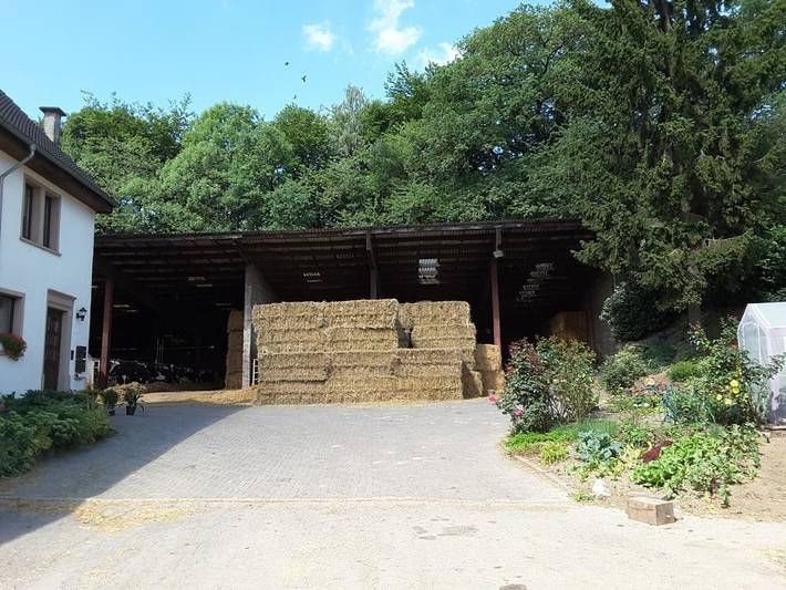 Bauernhaus für 6 Personen in Mosel-Saar - 3