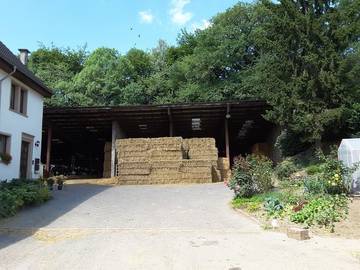 Boerderij voor 6 Personen in Paschel, Landkreis Trier-Saarburg, Afbeelding 2