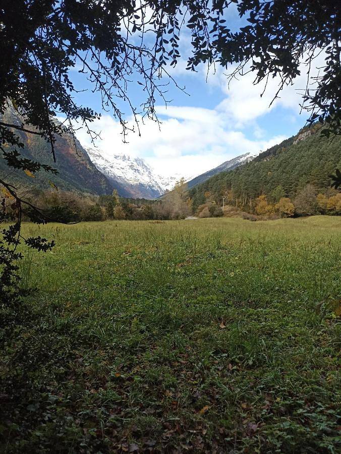 Apartamentos Sorripas 1 hab in Bielsa, Pirineo Aragonés
