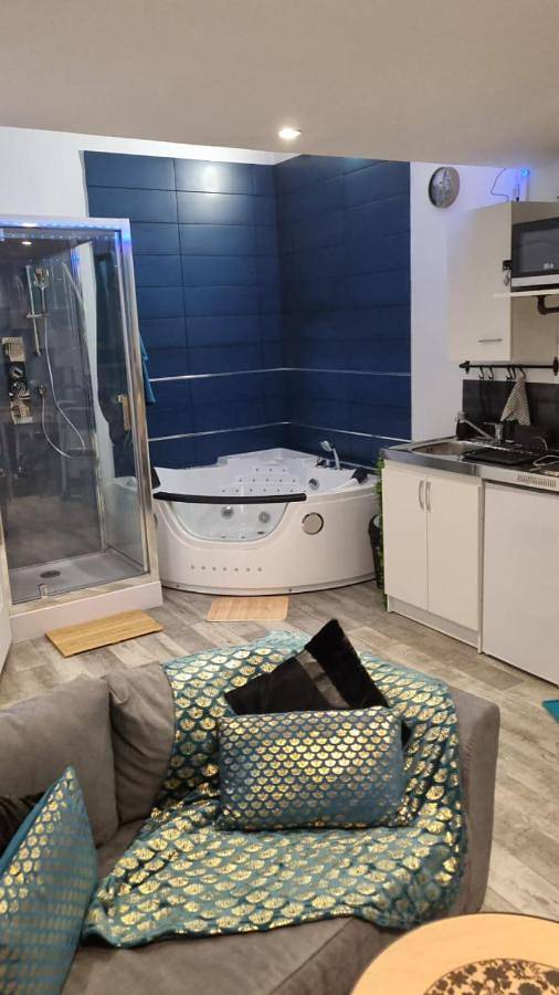 Gîte pour 2 personnes, avec jacuzzi et terrasse à Sens - 4