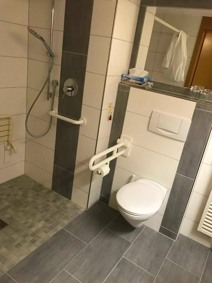 Hotel für 3 Personen, mit Ausblick und Terrasse sowie Garten, mit Haustier in Schwanau - 2