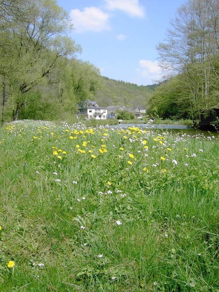 Ferienwohnung für 2 Personen, mit Balkon und Terrasse sowie Garten und Sauna an der Mosel