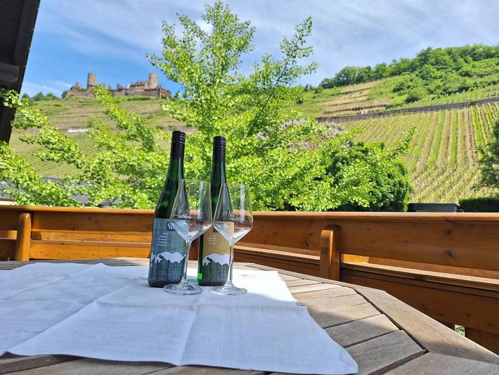 Ferienwohnung für 4 Personen, mit Balkon und Garten, mit Haustier in Alken