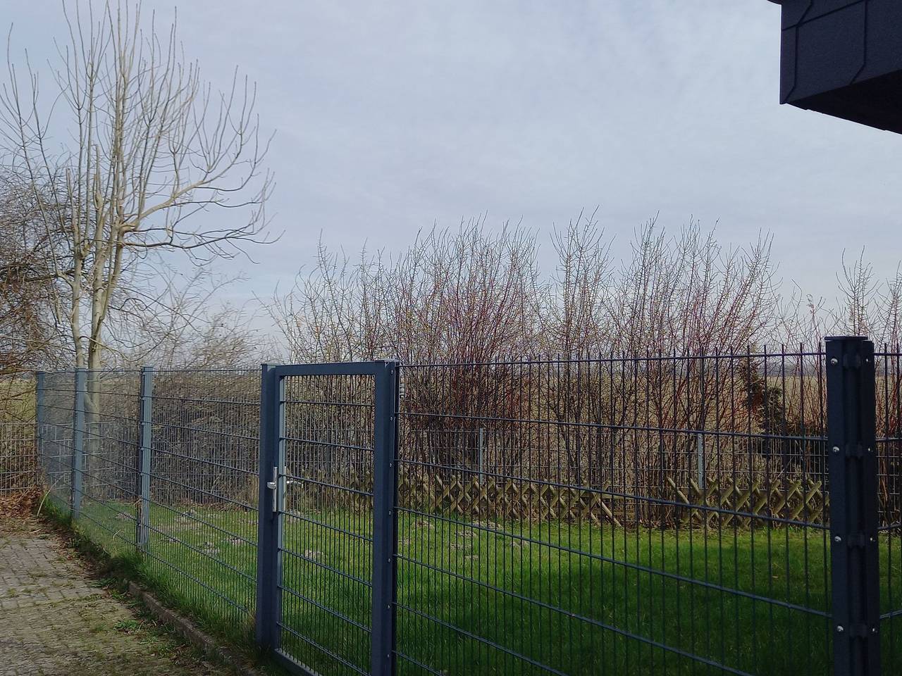 Deichhuus - ruhig am Feldrand in Sackgassenlage in Tossens, Butjadingen