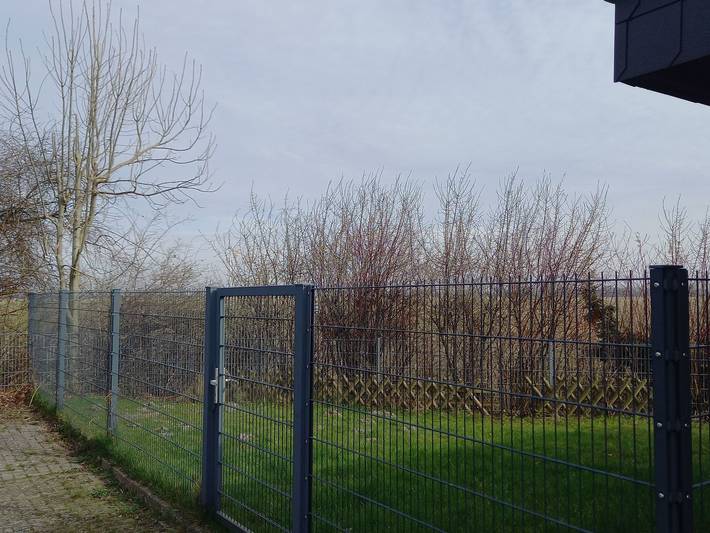 Ferienhaus für 4 Personen, mit Garten in Tossens - 4