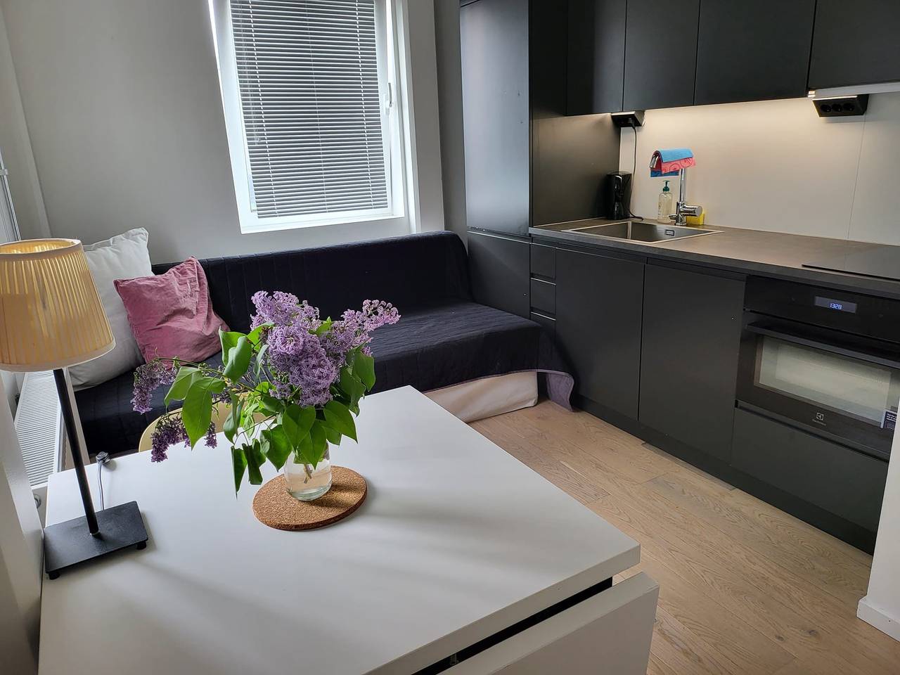 Ganze Ferienwohnung, Ferienwohnung für 3 Personen in Sollentuna kommun, Schwedische Ostsee
