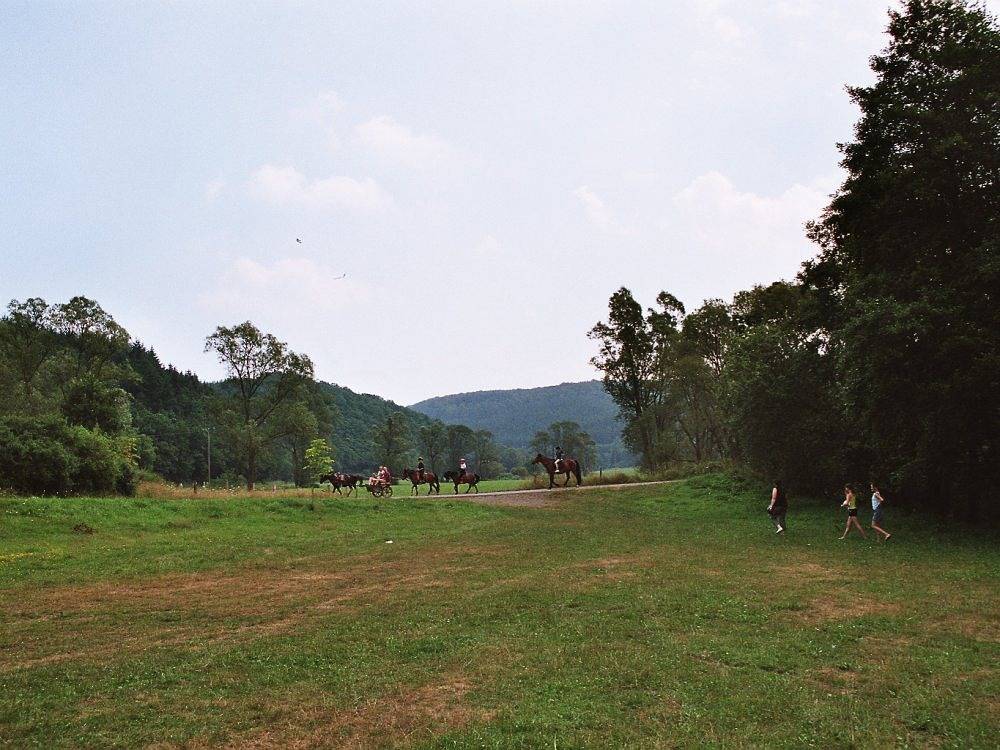 Reiterlandhof - Nr. 6 + 7 Ferienwohnung Schwalbennest in Lichtenfels, Waldecker Land