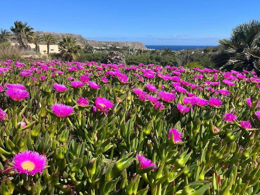 Cortijo Amara Agua in Níjar, Costa de Almería