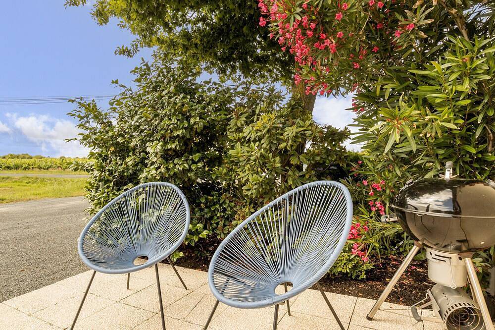 Gîte charmant au cœur des vignes avec terrasse privative et Wifi, proche de Nantes in Le Landreau, Nantes region