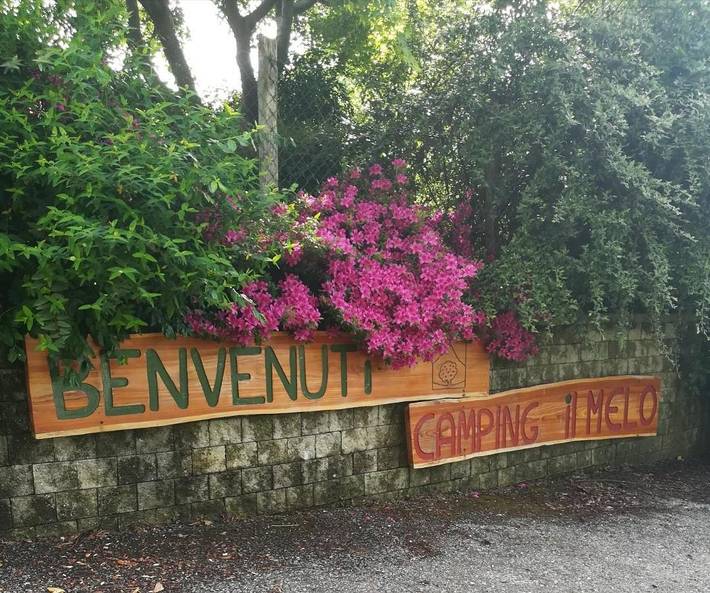 Location de vacances pour 5 personnes, avec vue ainsi que piscine et jardin, animaux acceptés à Peveragno - 4