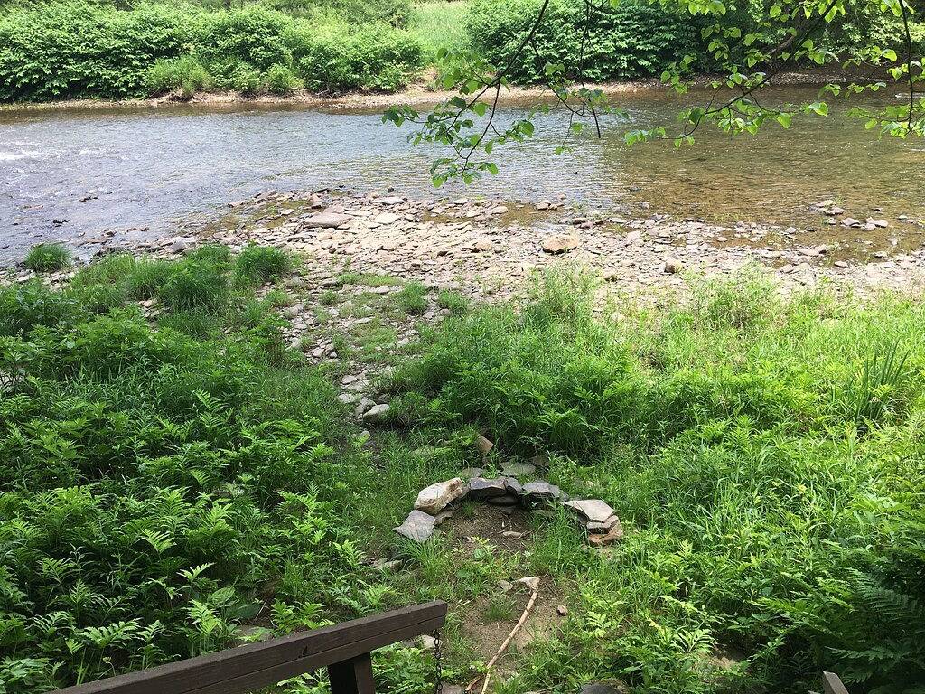 So viele Aktivitäten !! Angeln, Jagen, Wandern, Radfahren, Kajakfahren, Schläuche in Tioga County