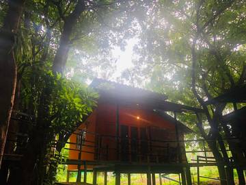 Cottage pour 5 personnes, avec vue ainsi que jardin et terrasse, animaux acceptés dans Koh Phangan
