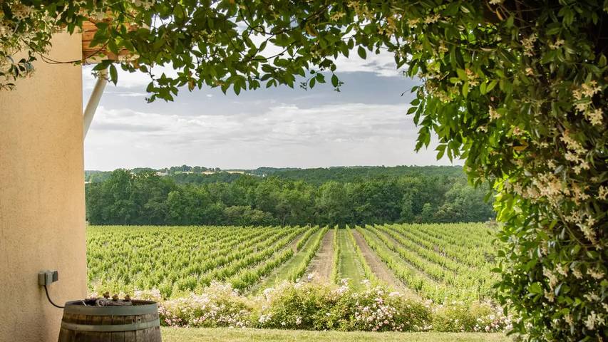 Location de vacances pour 8 personnes, avec jardin et piscine à Monbazillac - 4