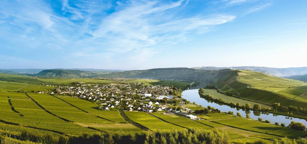 Ferienwohnung für 4 Personen, mit Terrasse in Leiwen - 3