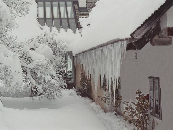 Ferienhaus für 8 Personen, mit Sauna und Garten in Waldviertel - 4