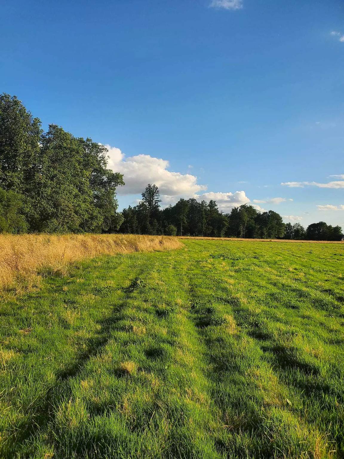 Ganze Wohnung, Tiny House im Herzen der Natur Bourguignonne in La Celle-Saint-Cyr, Yonne