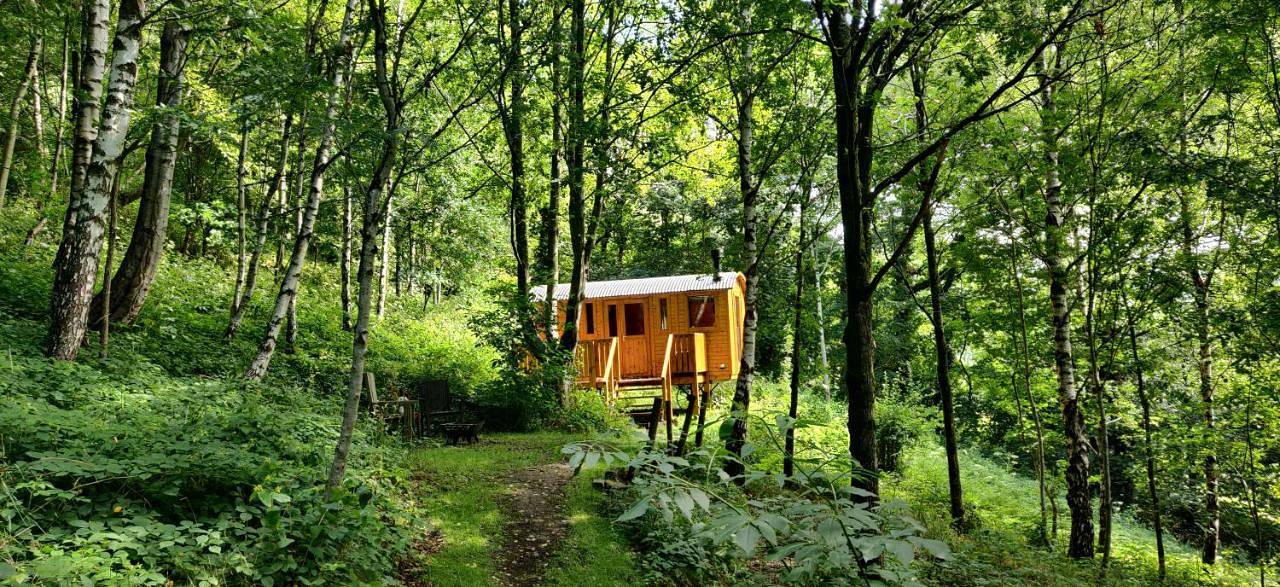 Peggy's Cabin in the Woods in West Yorkshire