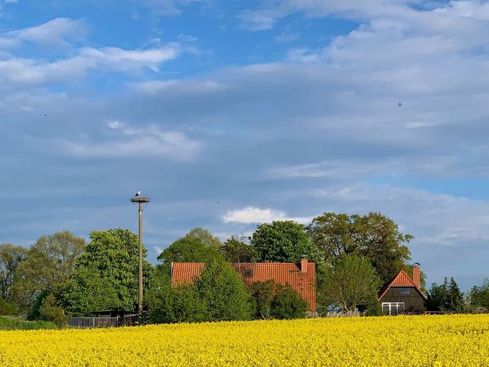 Ferienwohnung für 7 Personen, mit Whirlpool und Terrasse sowie Garten und Sauna in Grabowhöfe