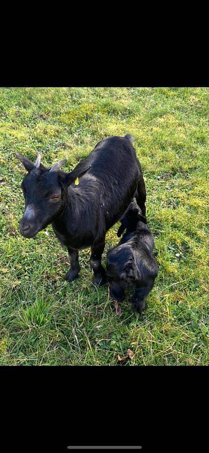 Location de vacances pour 5 personnes, avec jardin et vue à Auxonne - 3