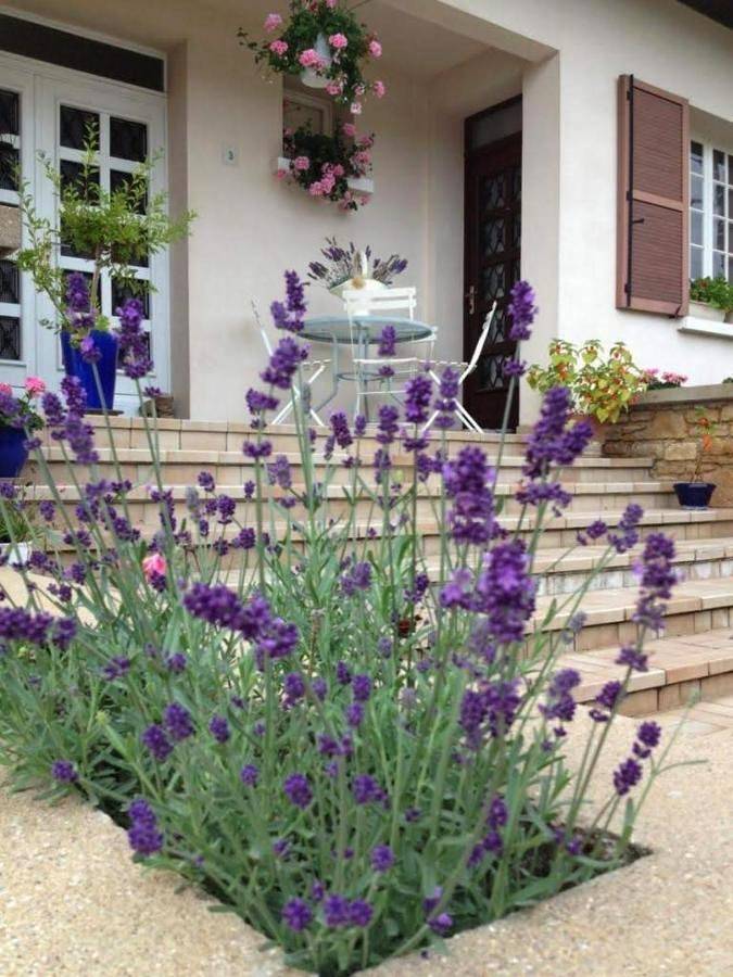 Appartement de vacances entier, Family Double Room in Nuits-Saint-Georges, Région de Beaune