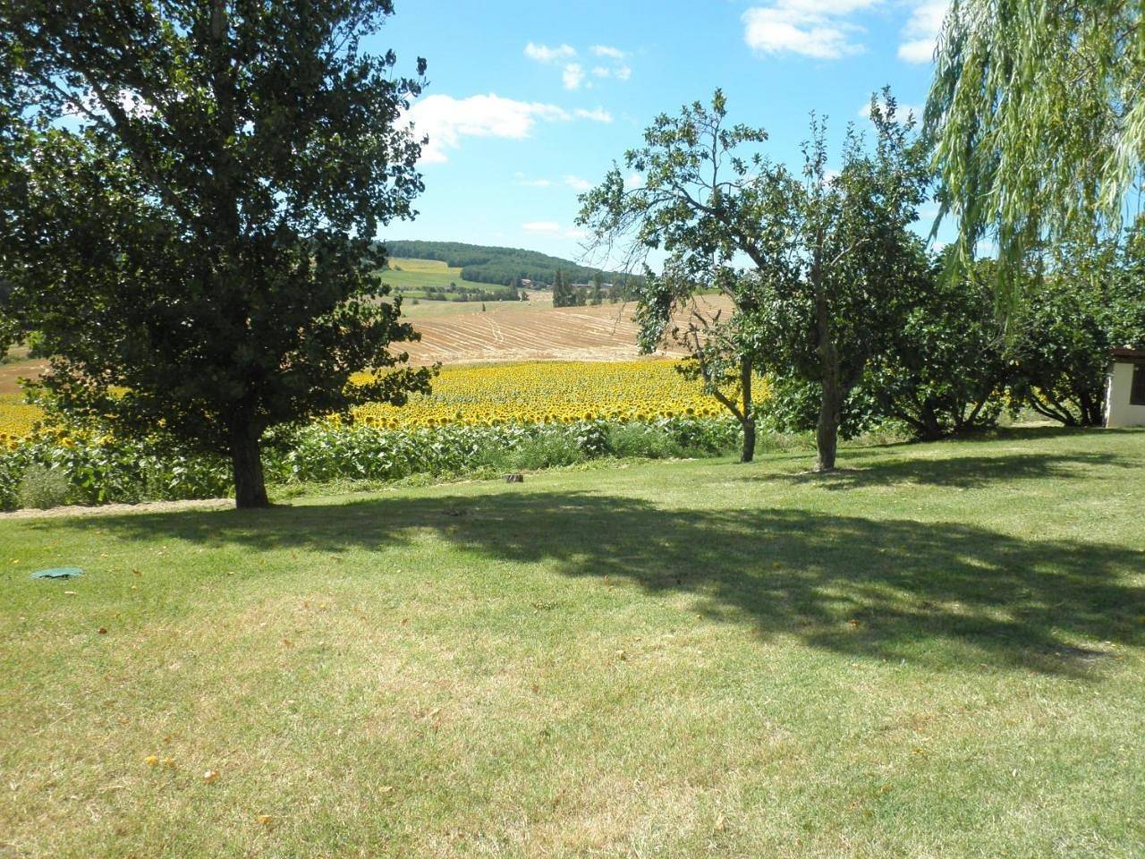 Domaine de la Vigne in Cadalen, Région d'Albi