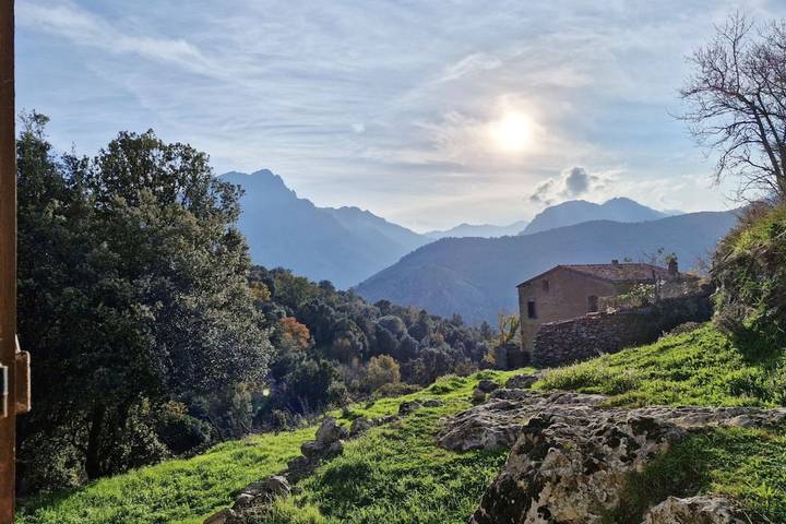 Location de vacances pour 5 personnes, avec jardin, animaux acceptés à Olmi-Cappella