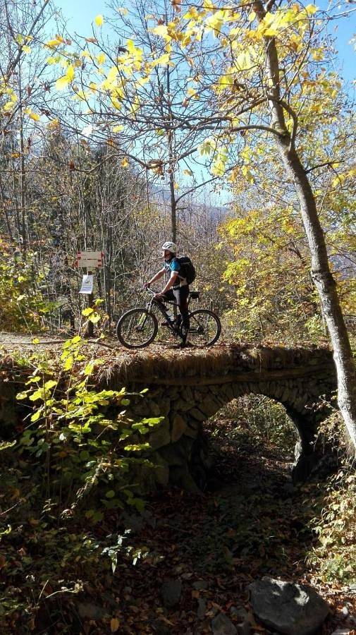 Location de vacances pour 6 personnes, avec piscine ainsi que vue et jardin à Entracque - 2