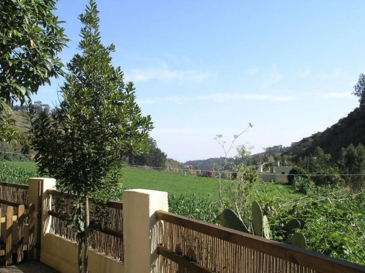 "El Laurel" in Moya, Gran Canaria Norte